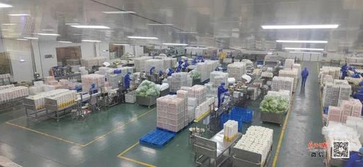 孟州市大定街道 踔厲奮發新征程，勇毅前行著華章——食品生產高質量發展之路