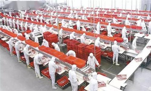 美又一肉類加工廠暴發群體感染，373名工人核酸檢測陽性，食品安全生產引擔憂