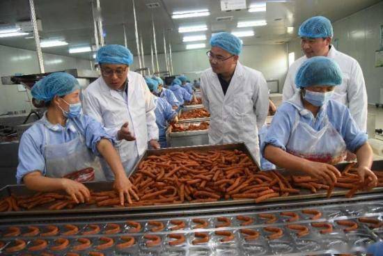 杞縣裴村店鄉 食品生產車間里的勞動剪影