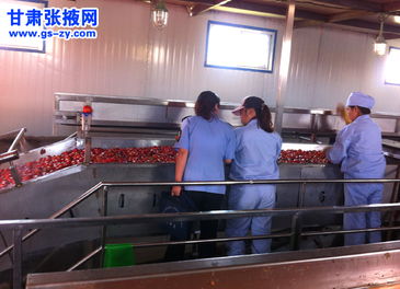 甘州區食藥監管所強化食品生產與銷售環節專項檢查