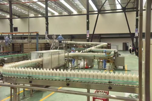 首屆中國綦江食品工業高質量發展大會將于12月4日舉行，聚焦食品銷售新機遇