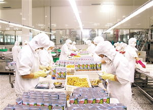 神栗公司 靠山養山，以林果產業架起深山與世界的致富橋梁